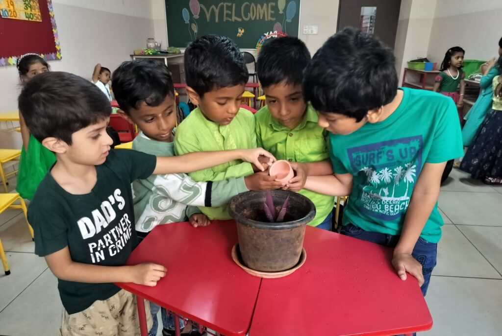 IKV School kindergarten program supporting emotional and social development
