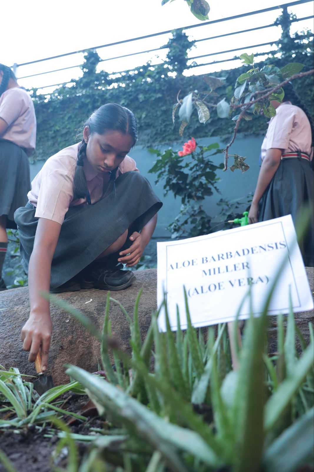 CBSE schools near me