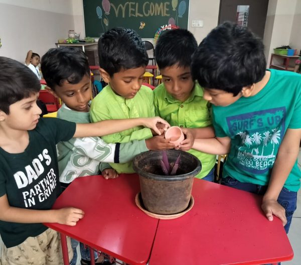 IKV School kindergarten program supporting emotional and social development